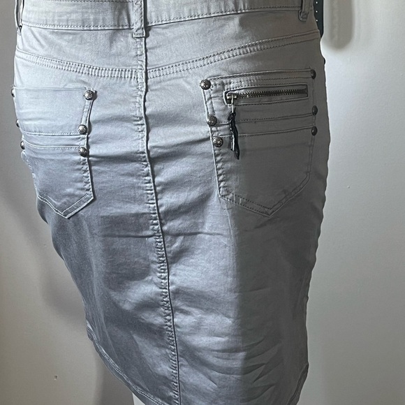 NWT Ofclia Light Gray Motto Style European Skirt Sz 8(38) - Picture 6 of 8